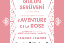 nds gulun seruveni affiche