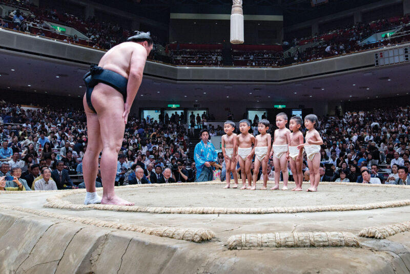 Lord K2 - Sumo 6 51049 Sumo 78 DSC1826x