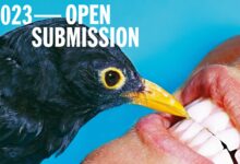 Belfast Fotograf Festivali 2023 Acik Basvuru