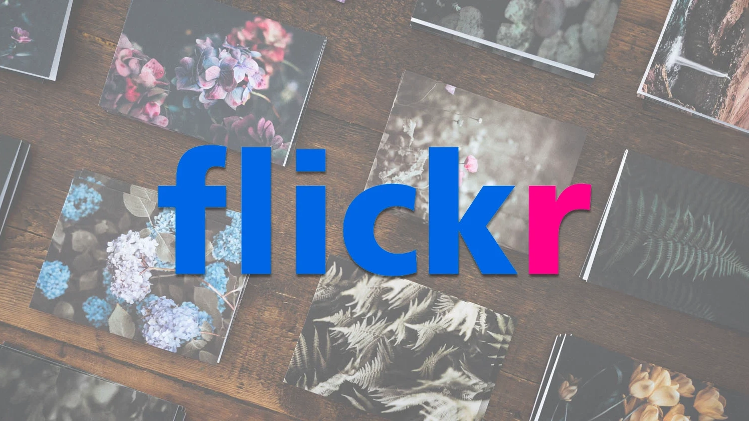 Flickr Fotografcilarin Baski Satmasina Izin Verecek