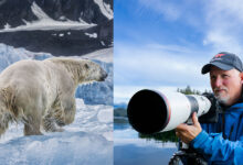 Paul Nicklen: Fotoğrafı Koruma İçin Kullanmak 11 HeaderNicklen