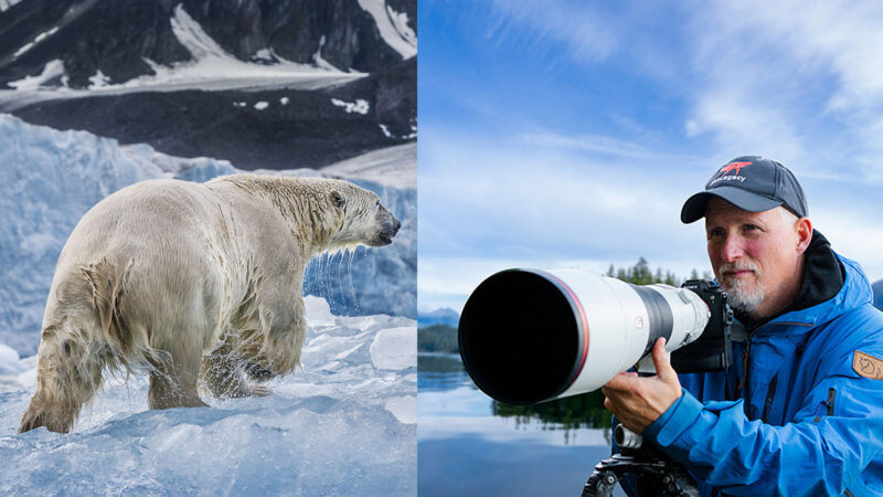 Paul Nicklen: Fotoğrafı Koruma İçin Kullanmak 1 Paul Nicklen: Fotoğrafı Koruma İçin Kullanmak
