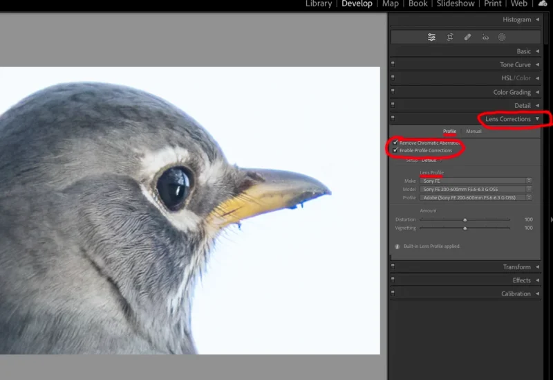 Kromatik Sapma nedir? Renk Saçaklanmasıyla Nasıl Başa Çıkılır? 7 Image 3 LR Lens Correction 1