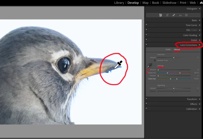 Kromatik Sapma nedir? Renk Saçaklanmasıyla Nasıl Başa Çıkılır? 8 Image 4 LR Lens Correction 2