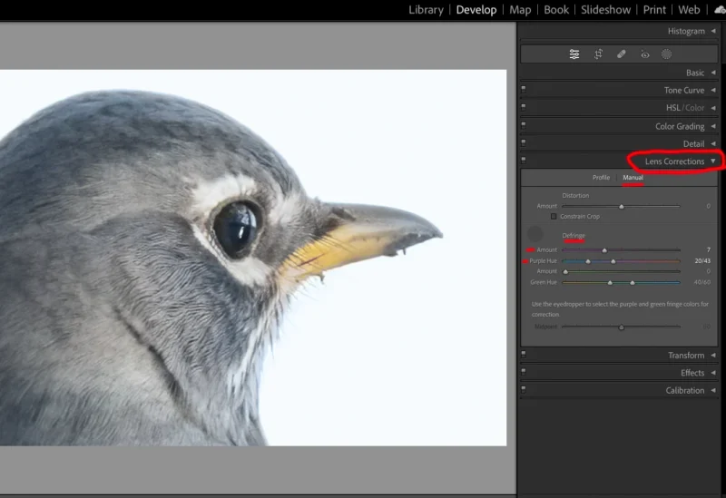 Kromatik Sapma nedir? Renk Saçaklanmasıyla Nasıl Başa Çıkılır? 9 Image 5 LR Lens Correction 3