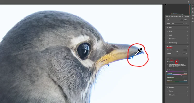Kromatik Sapma nedir? Renk Saçaklanmasıyla Nasıl Başa Çıkılır? 11 Image 7 Photoshop 2