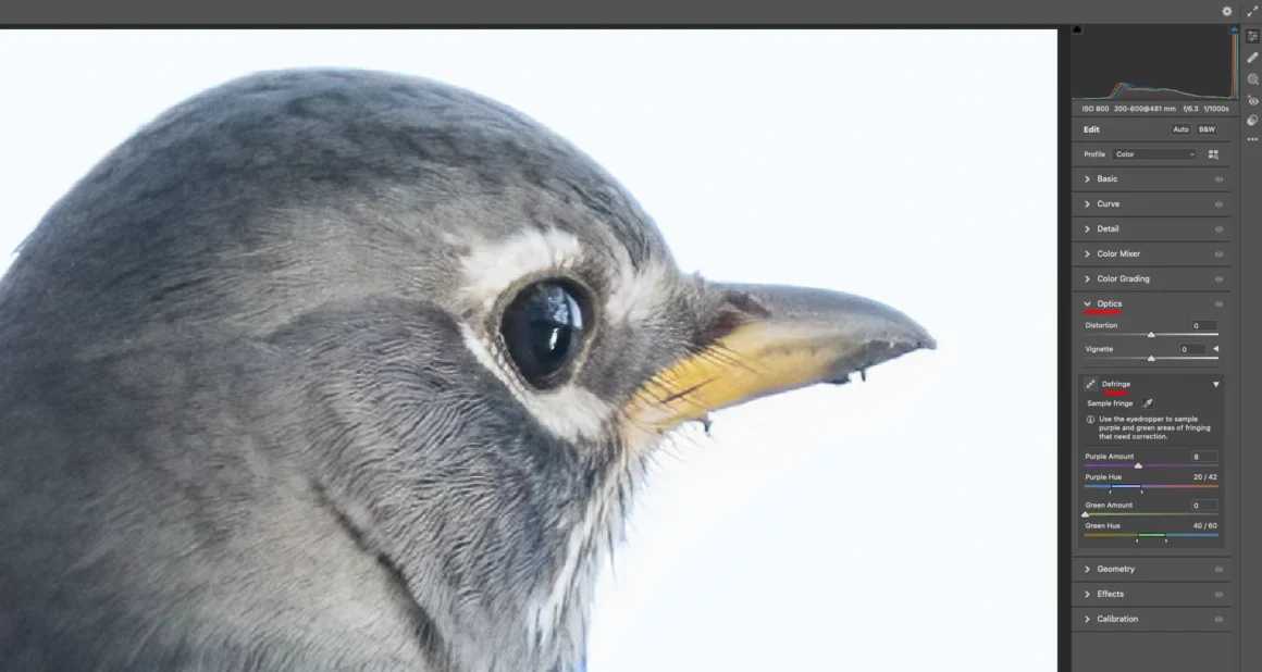 Kromatik Sapma nedir? Renk Saçaklanmasıyla Nasıl Başa Çıkılır? 12 Image 8 Photoshop 3