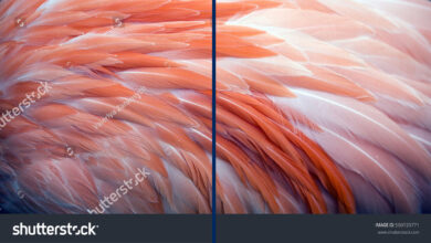 ai filigran kaldirici header