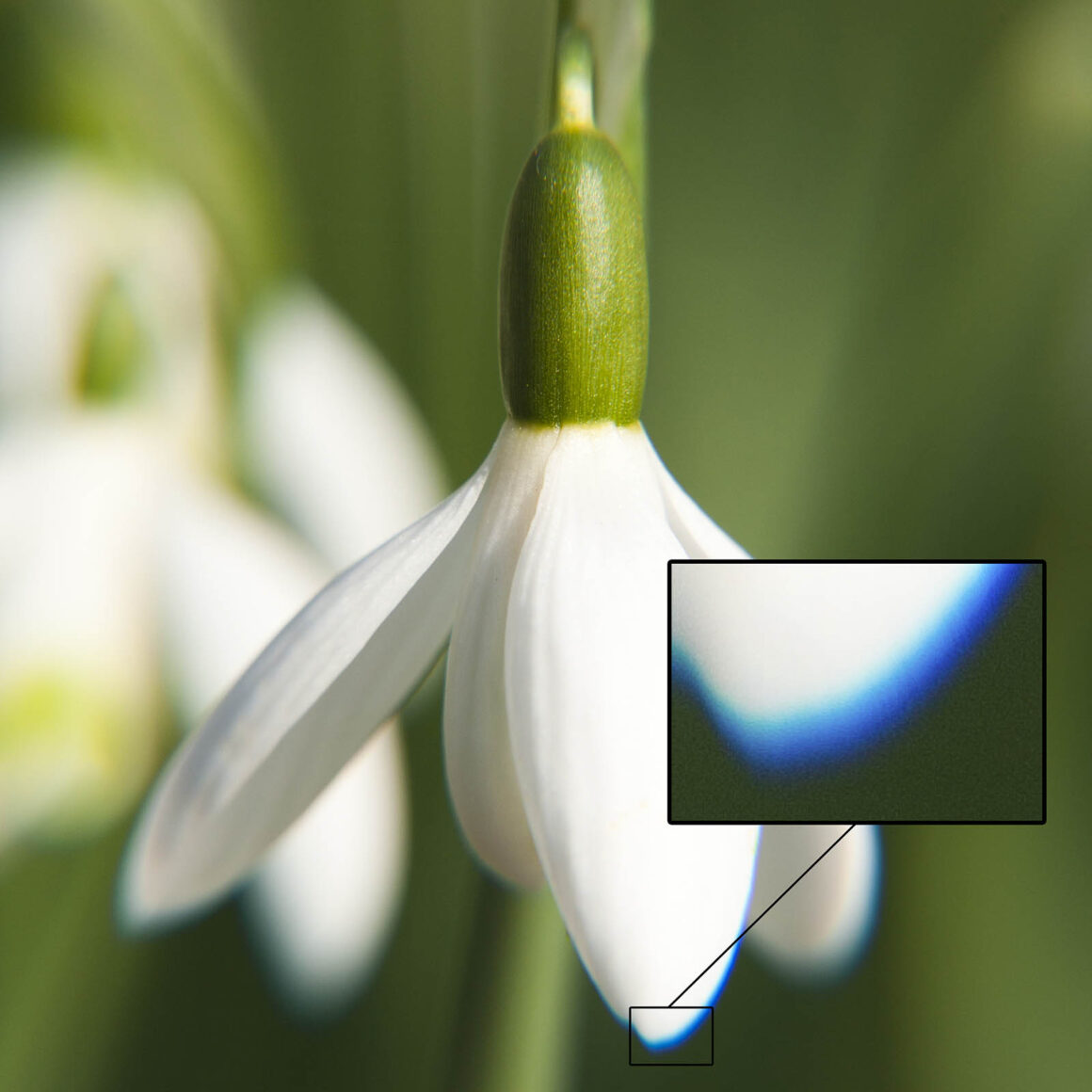 chromatic aberration example