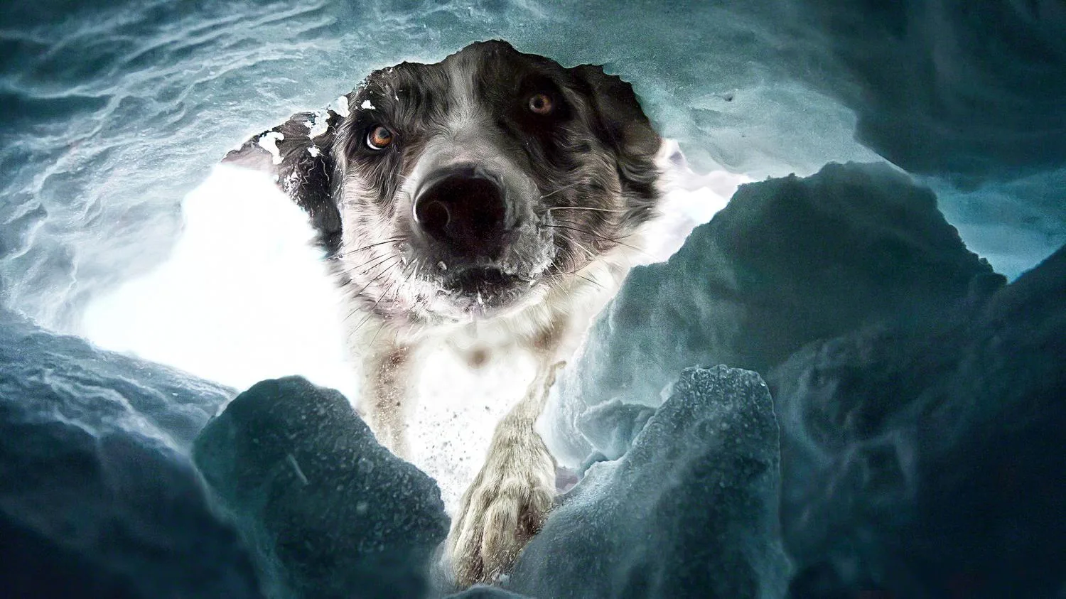 methode times prod web bin fbd26ae6 91cd 11ed 8b99 f233af7a7956 jpeg