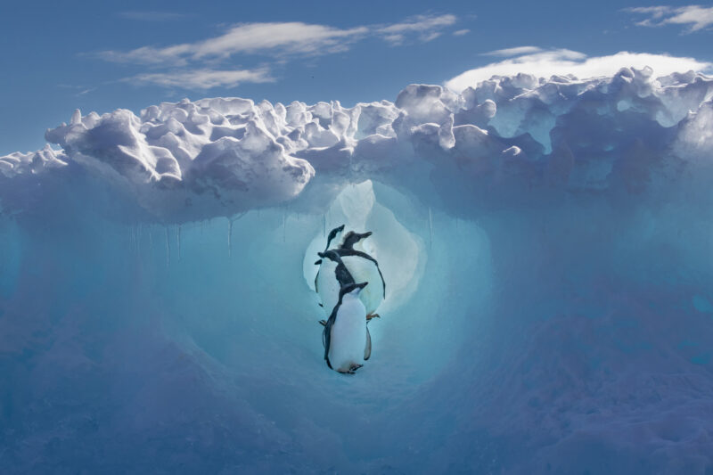 2022 (TPOTY) Yılın Seyahat Fotoğrafçısı 11 102 TPOTY 2022 GreenPlanet BSI SM4 SPortelli