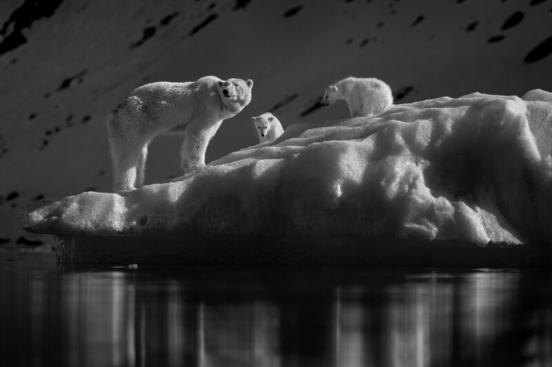 2022 (TPOTY) Yılın Seyahat Fotoğrafçısı 6 36 TPOTY 2022 Mono Win RGalitz