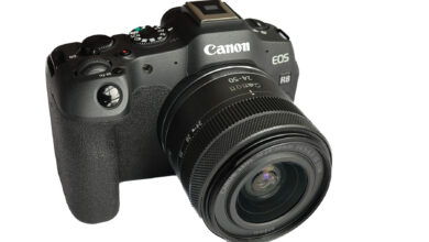 Canon EOS R8 ilk incelemesi 11 Canon EOS R8 ilk incelemesi 001