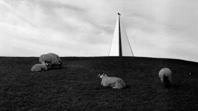 Film Fotografciligi Neden Yapay Zeka Sanatinin Antitezidir