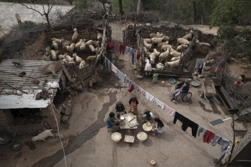 Global SinoPhoto Awards 2023 7 Global SinoPhoto Awards 2023 007