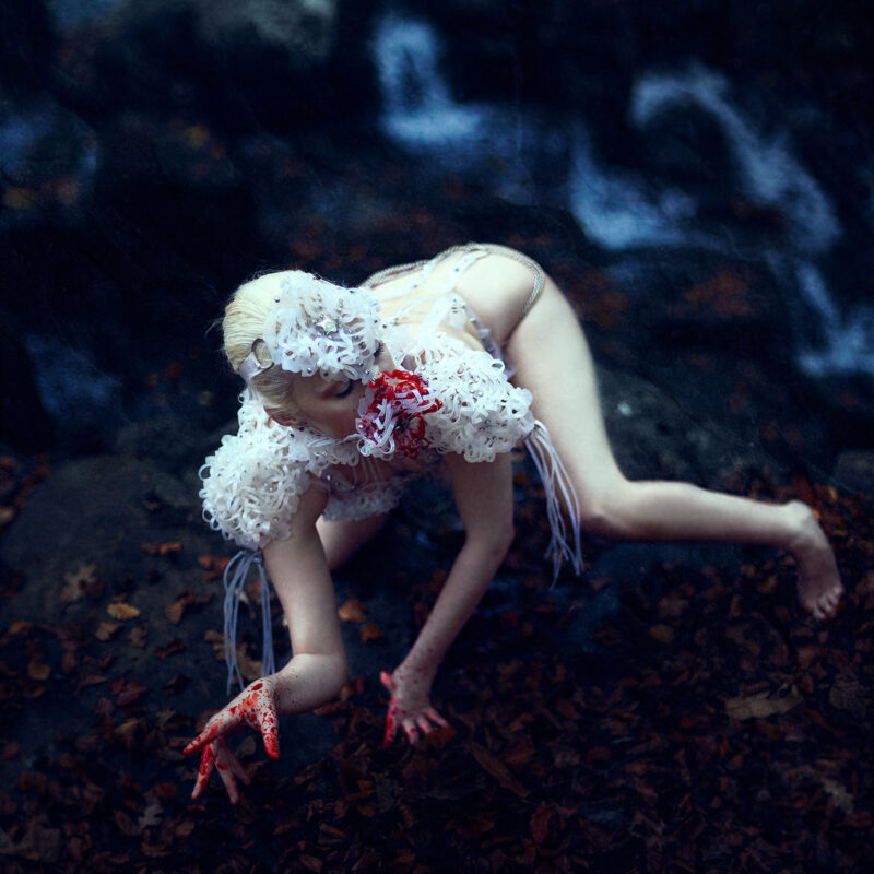 Stephanie Pearl : Fragile Beasts 3 Stephanie Pearl Fragile Beasts 006