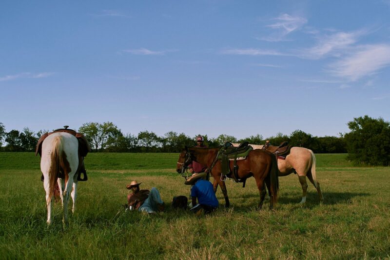 Gem Hale : Hay Day 7 Bir tarlada dinlenen kovboylar 2020.