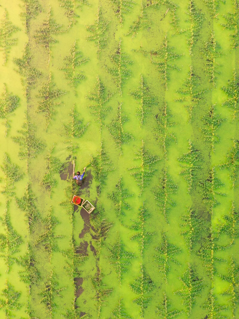 SkyPixel 2023 3 Nominated Photo caokynhan