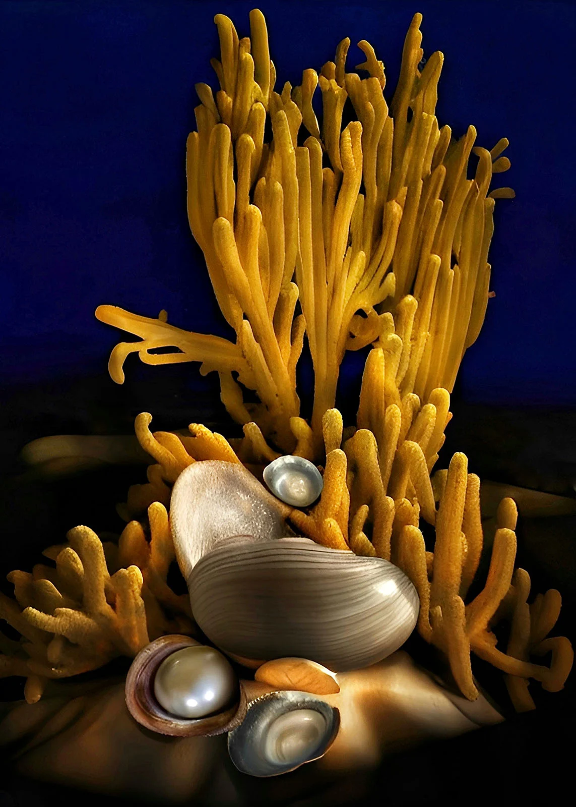 Geleneksel 12. Mobil Fotoğrafçılık Ödülleri 21 zArtificial Intelligence Souls of the Ancient Sea Bed JohnNieto iPhone13Pro