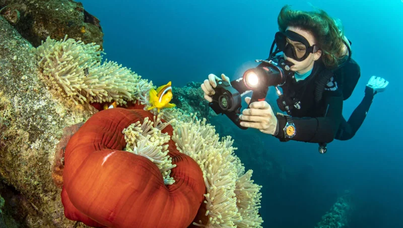2023'ün En İyi Su Geçirmez Kameraları 7 SeaLife Sea Dragon harici ışıklı SeaLife Micro 3.0
