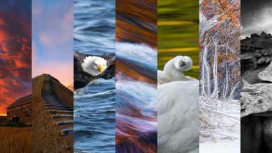 Iyi Bir Fotograf Icin 7 Temel Unsur