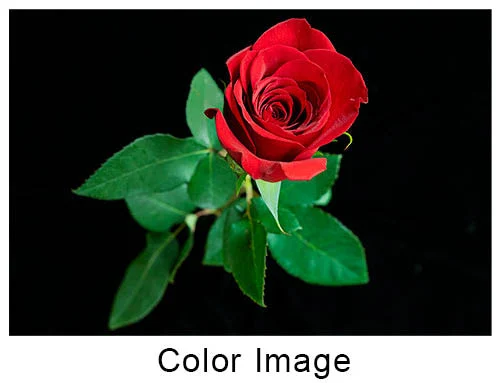 color image 3