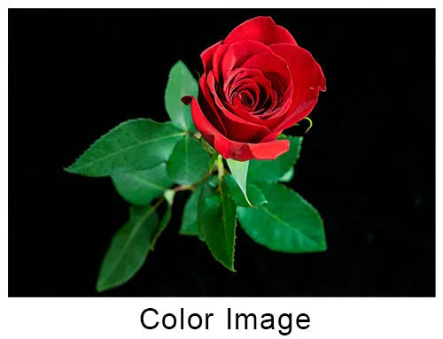 Siyah-Beyaz Fotoğrafçılık için Renk Filtreleri: Eksiksiz Bir Kılavuz 6 color image 3