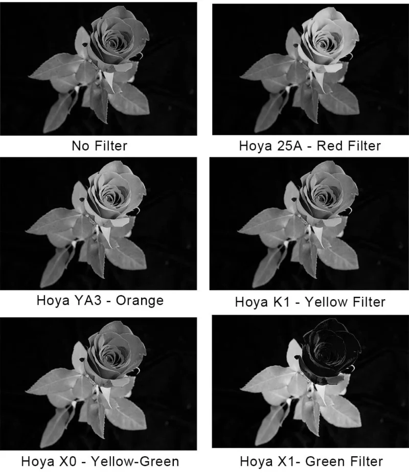 Siyah-Beyaz Fotoğrafçılık için Renk Filtreleri: Eksiksiz Bir Kılavuz 7 filtered images 3