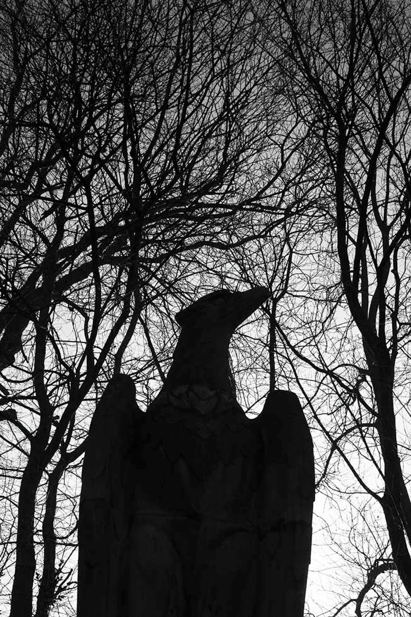 144 Nazi Eagle over war graves Sighisoara Romania 2016 Enhanced