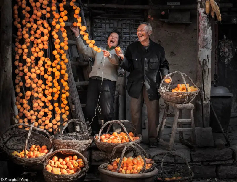 22 Pink Lady® Moments of Joy Zhonghua Yang Hanging Up Persimmons Lo Res Credited