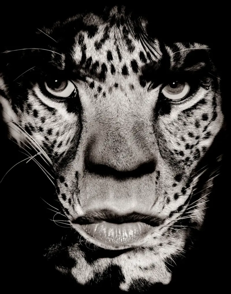 Albert Watson: Efsanevi Moda ve Ünlü Fotoğrafçısı 5 Albert Watson Efsanevi Moda ve Unlu Fotografcisi 004