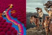 One Eyeland Photography Awards 2022 12 One Eyeland Photography Awards 2022
