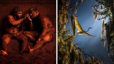 ReFocus Awards Renkli Fotograf Yarismasi 2023