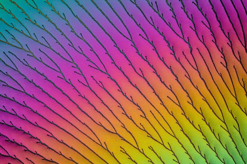 ReFocus Awards Renkli Fotoğraf Yarışması Kromatik Güzelliği Sergiliyor 23 peter juzak second place non pro and gold abstract