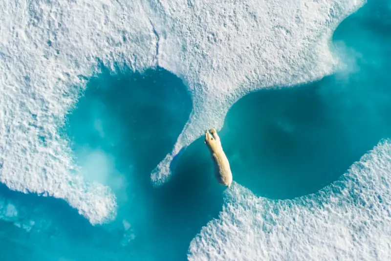 ReFocus Awards Renkli Fotoğraf Yarışması Kromatik Güzelliği Sergiliyor 6 refocus color florian ledoux aerial gold pro