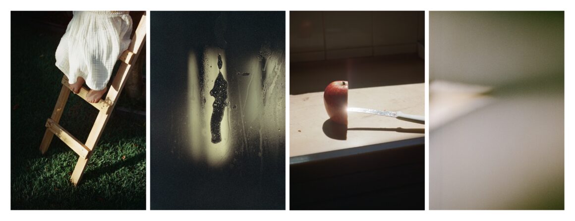 Güçlü portreler ve gururlu köpekler International Photography Awards 2023'de öne çıkıyor 3 Daniela Balestrin