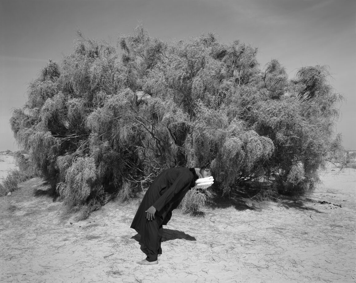 Güçlü portreler ve gururlu köpekler International Photography Awards 2023'de öne çıkıyor 4 Edgar Martins