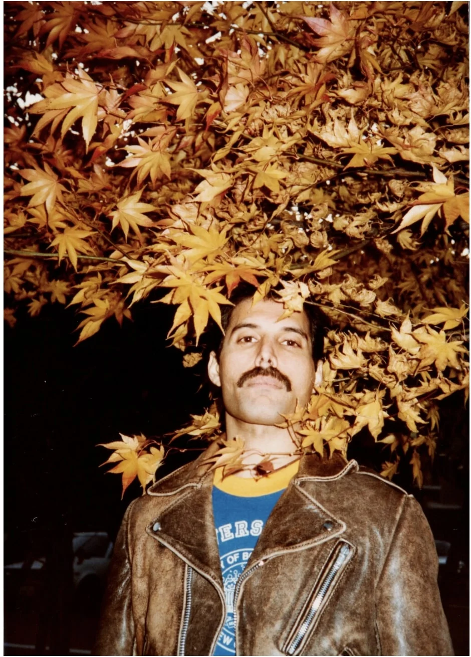 Freddie Mercury'nin Daha Önce Görülmemiş Kişisel Fotoğrafları Açık Artırmada Satılacak