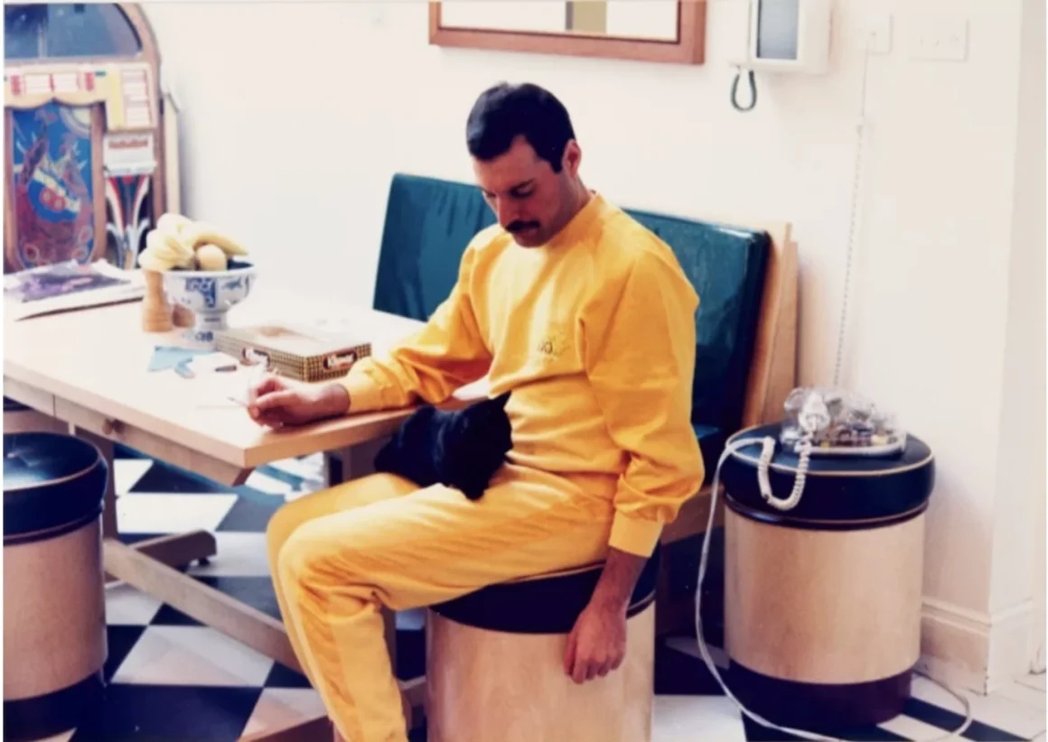 Freddie Mercury'nin Daha Önce Görülmemiş Kişisel Fotoğrafları Açık Artırmada Satılacak 7 Freddie Mercury 006
