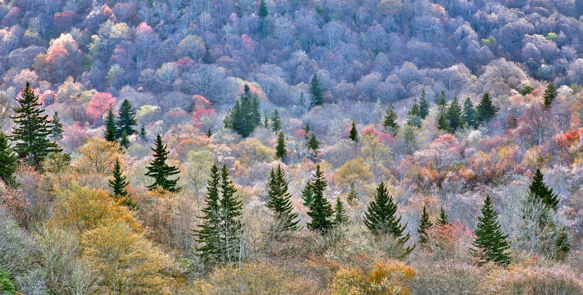 Graveyard Fields Spring