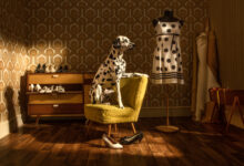 Güçlü portreler ve gururlu köpekler International Photography Awards 2023'de öne çıkıyor 36 Horst Kistner