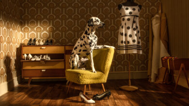 Güçlü portreler ve gururlu köpekler International Photography Awards 2023'de öne çıkıyor 74 Horst Kistner