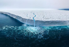 Denize Kanayan Buzulun Endişe Verici Görüntüsü Fotoğraf Yarışmasını Kazandı 9 Landscapes Winner 1
