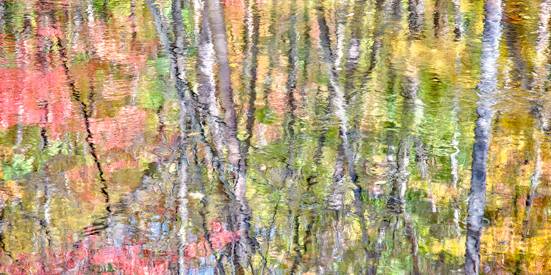 Görsel Hikayelerin Büyülü Doktoru: John Smith'in Objektifinden Dünya 6 Little River Reflections II