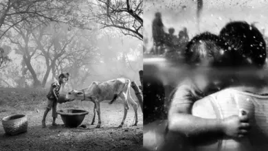 Nikon 2023 Fotoğraf Yarışmasında Kazanan Muhteşem Fotoğraflar ve Filmler 5 Nikonun 2023 Fotograf Yarismasinda Kazanan Muhtesem Fotograflar ve Filmler