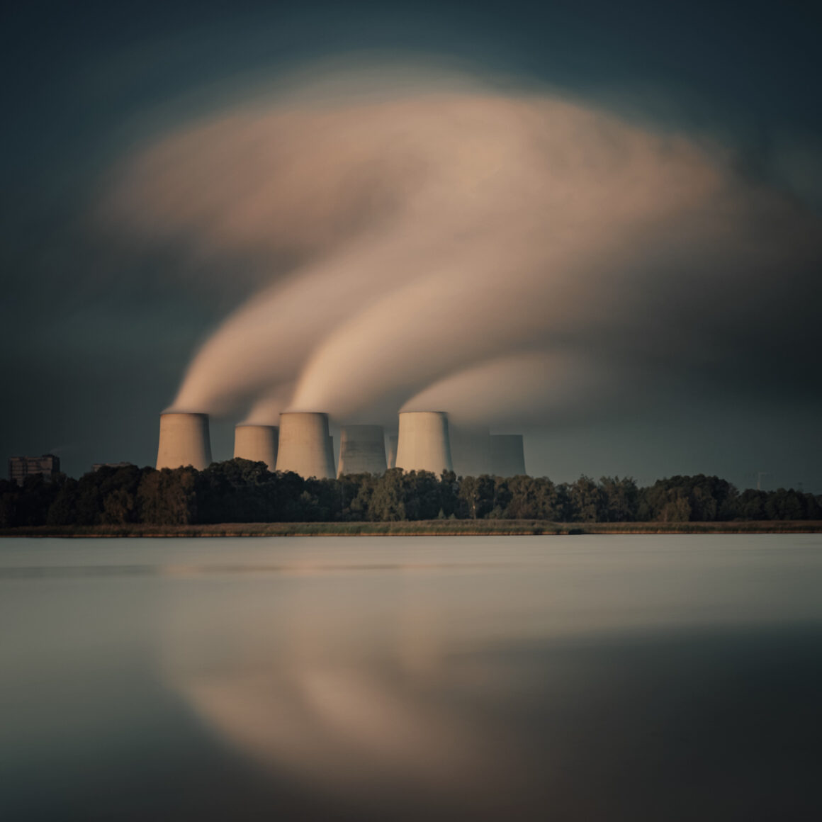 Güçlü portreler ve gururlu köpekler International Photography Awards 2023'de öne çıkıyor 6 Steffan Reichardt