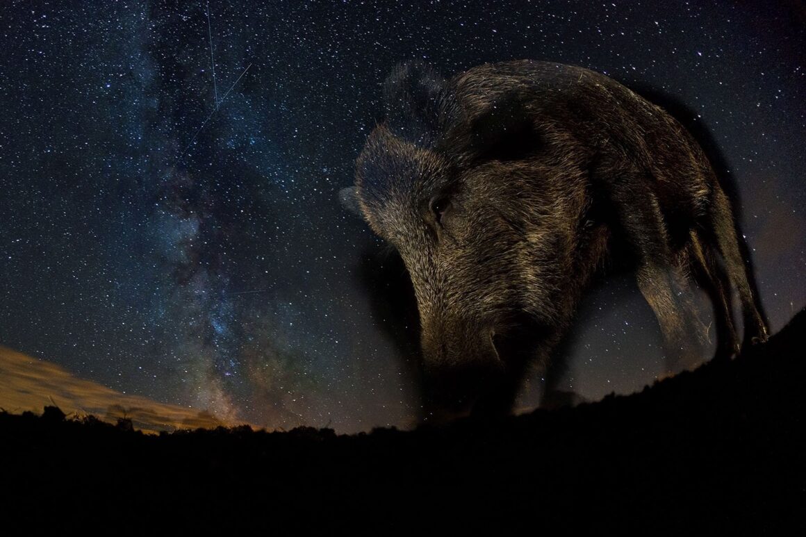 Denize Kanayan Buzulun Endişe Verici Görüntüsü Fotoğraf Yarışmasını Kazandı 10 The Night Sky Winner
