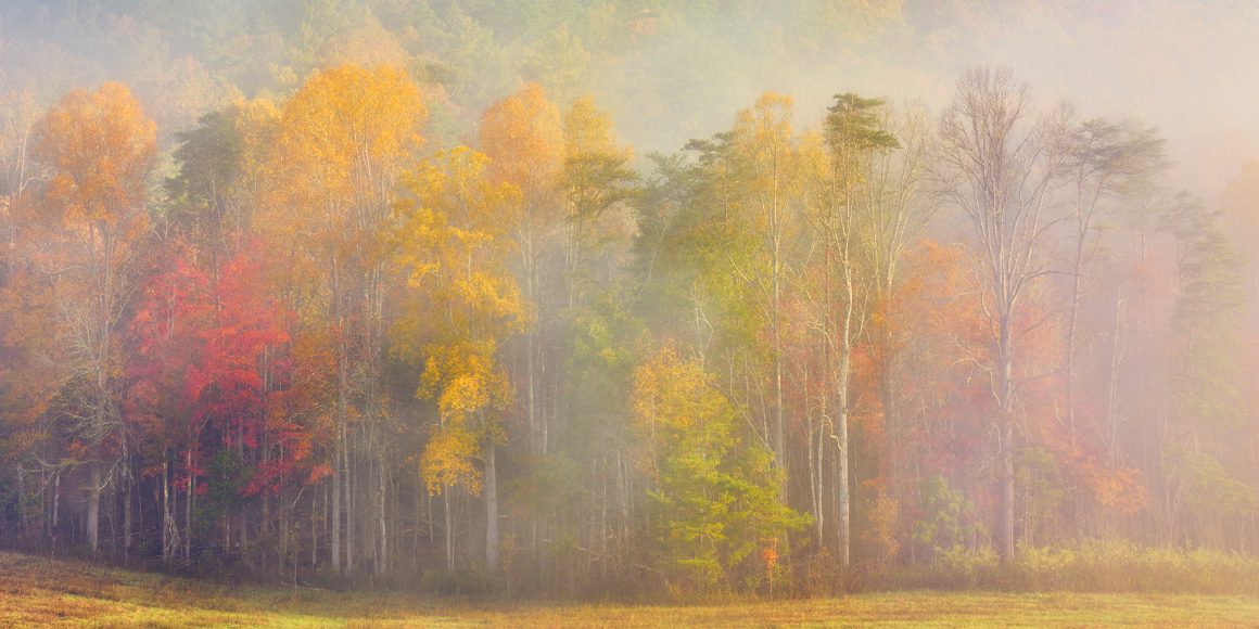 Görsel Hikayelerin Büyülü Doktoru: John Smith'in Objektifinden Dünya 8 cades cove