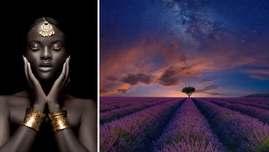 siena creative photo awards featured