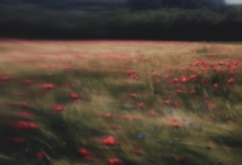 10th Fine Art Photography Awards 8 sub banner 2023